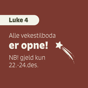 Luke 4